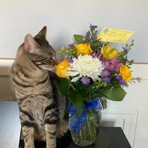 Meet your Posher, Maggie